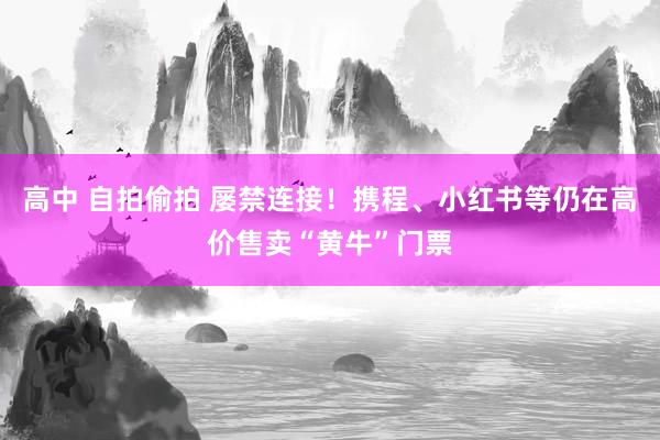 高中 自拍偷拍 屡禁连接!携程、小红书等仍在高价售卖“黄牛”门票