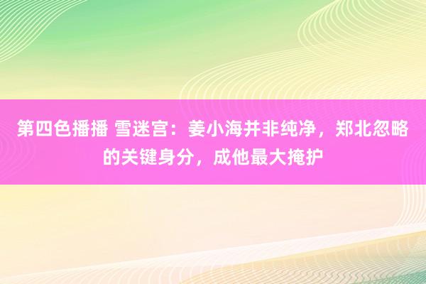 第四色播播 雪迷宫:姜小海并非纯净,郑北忽略的关键身分,成他最大掩护