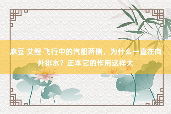 麻豆 艾鲤 飞行中的汽船两侧,为什么一直在向外排水?正本它的作用这样大