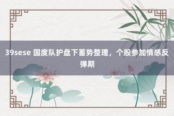 39sese 国度队护盘下蓄势整理,个股参加情感反弹期