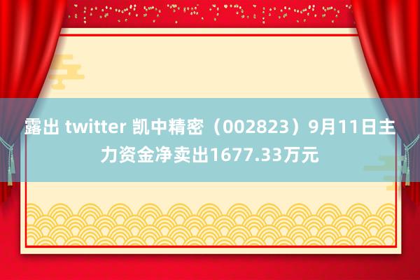 露出 twitter 凯中精密(002823)9月11日主力资金净卖出1677.33万元