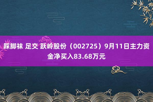 踩脚袜 足交 跃岭股份(002725)9月11日主力资金净买入83.68万元