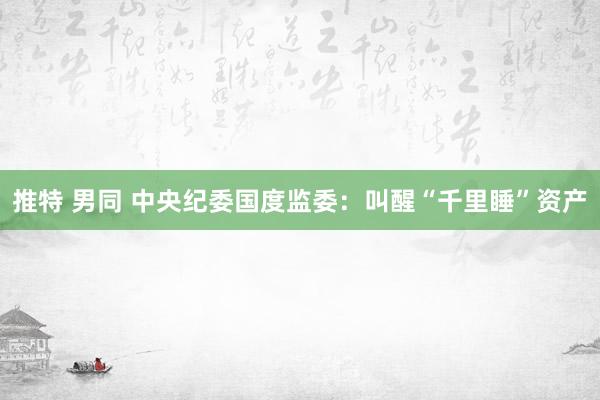 推特 男同 中央纪委国度监委:叫醒“千里睡”资产