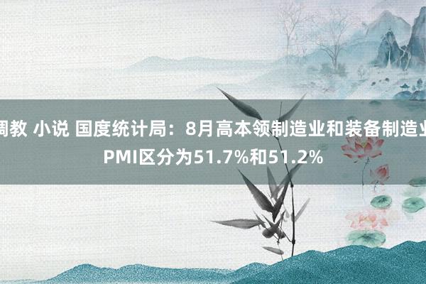 调教 小说 国度统计局:8月高本领制造业和装备制造业PMI区分为51.7%和51.2%