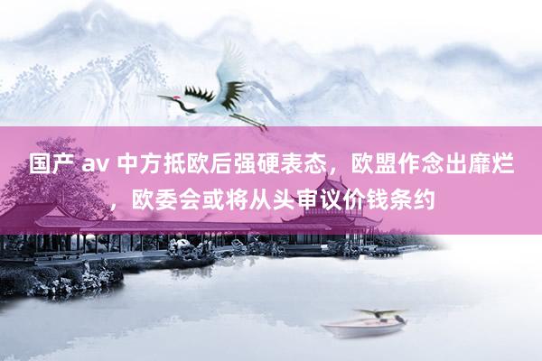 国产 av 中方抵欧后强硬表态,欧盟作念出靡烂,欧委会或将从头审议价钱条约