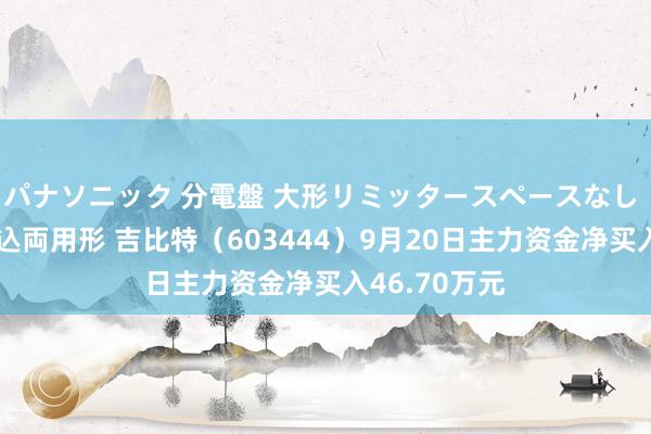 パナソニック 分電盤 大形リミッタースペースなし 露出・半埋込両用形 吉比特(603444)9月20日主力资金净买入46.70万元
