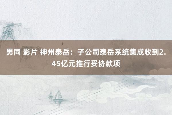 男同 影片 神州泰岳:子公司泰岳系统集成收到2.45亿元推行妥协款项