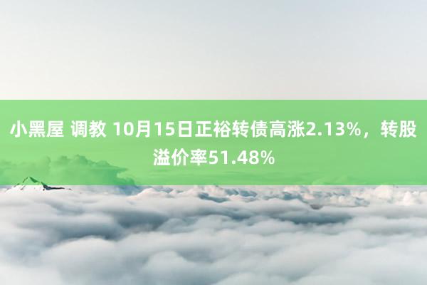 小黑屋 调教 10月15日正裕转债高涨2.13%,转股溢价率51.48%
