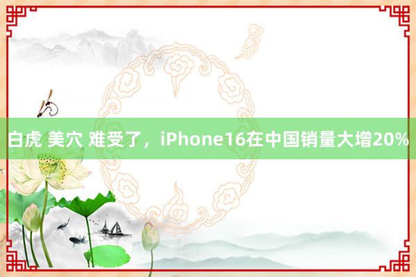 白虎 美穴 难受了,iPhone16在中国销量大增20%