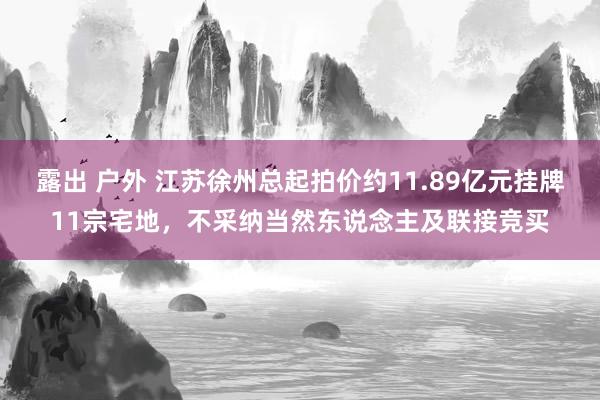 露出 户外 江苏徐州总起拍价约11.89亿元挂牌11宗宅地，不采纳当然东说念主及联接竞买