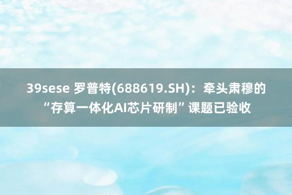 39sese 罗普特(688619.SH):牵头肃穆的“存算一体化AI芯片研制”课题已验收