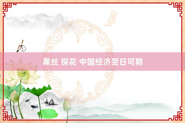 黑丝 探花 中国经济翌日可期