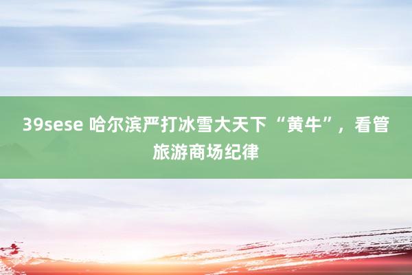 39sese 哈尔滨严打冰雪大天下 “黄牛”,看管旅游商场纪律