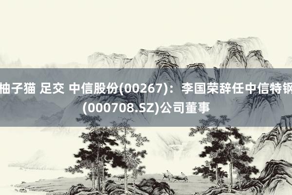 柚子猫 足交 中信股份(00267):李国荣辞任中信特钢(000708.SZ)公司董事