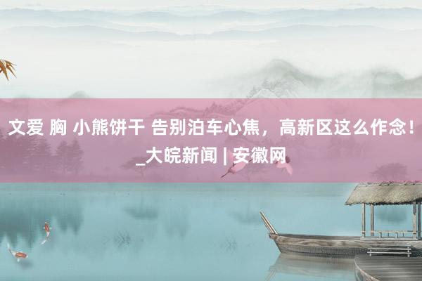 文爱 胸 小熊饼干 告别泊车心焦,高新区这么作念!_大皖新闻 | 安徽网