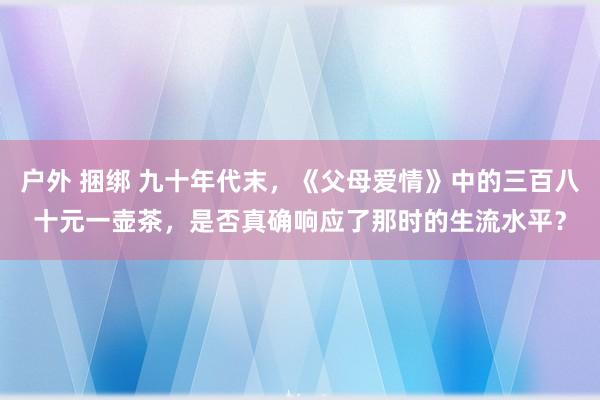 户外 捆绑 九十年代末,《父母爱情》中的三百八十元一壶茶,是否真确响应了那时的生流水平?