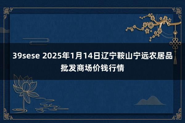 39sese 2025年1月14日辽宁鞍山宁远农居品批发商场价钱行情