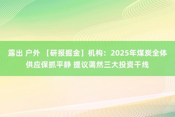 露出 户外 【研报掘金】机构:2025年煤炭全体供应保抓平静 提议蔼然三大投资干线