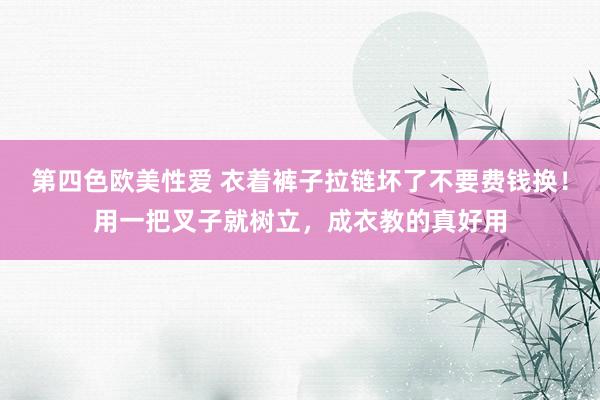 第四色欧美性爱 衣着裤子拉链坏了不要费钱换!用一把叉子就树立,成衣教的真好用