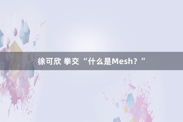 徐可欣 拳交 “什么是Mesh?”