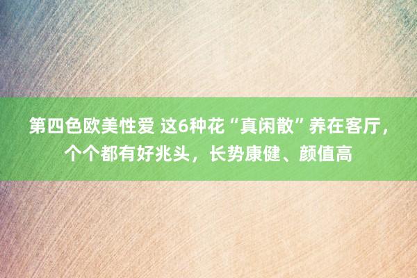 第四色欧美性爱 这6种花“真闲散”养在客厅,个个都有好兆头,长势康健、颜值高