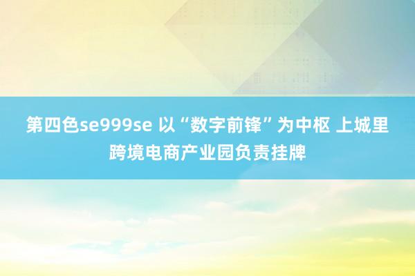 第四色se999se 以“数字前锋”为中枢 上城里跨境电商产业园负责挂牌