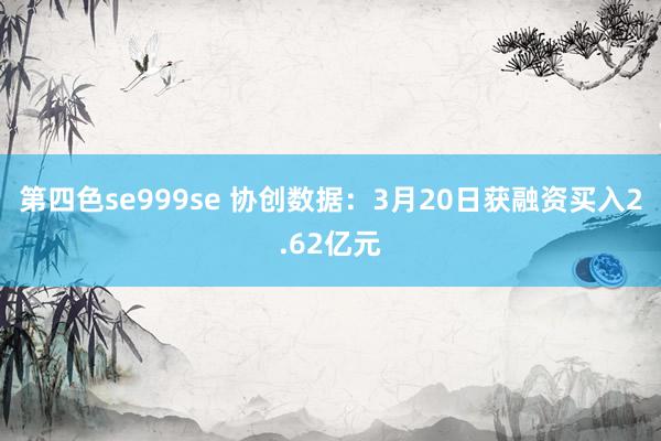 第四色se999se 协创数据：3月20日获融资买入2.62亿元
