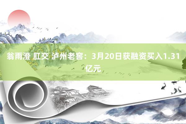 翁雨澄 肛交 泸州老窖:3月20日获融资买入1.31亿元