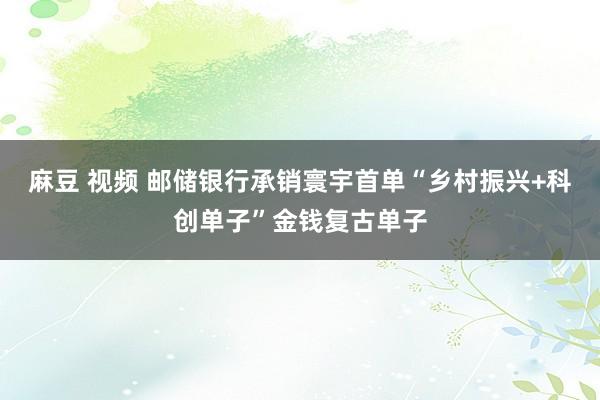 麻豆 视频 邮储银行承销寰宇首单“乡村振兴+科创单子”金钱复古单子
