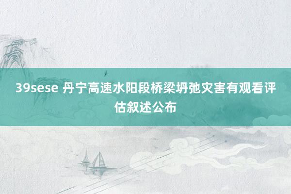 39sese 丹宁高速水阳段桥梁坍弛灾害有观看评估叙述公布