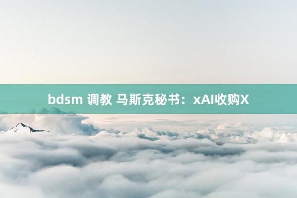 bdsm 调教 马斯克秘书：xAI收购X