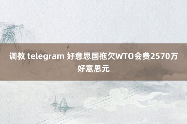 调教 telegram 好意思国拖欠WTO会费2570万好意思元