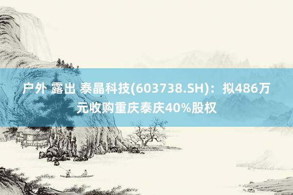 户外 露出 泰晶科技(603738.SH)：拟486万元收购重庆泰庆40%股权