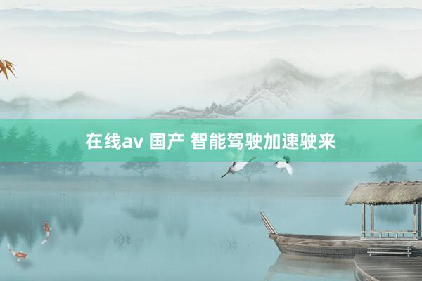 在线av 国产 智能驾驶加速驶来