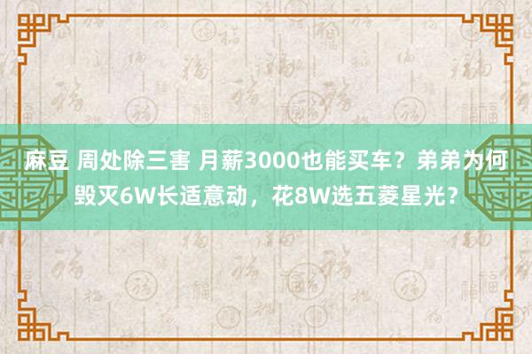 麻豆 周处除三害 月薪3000也能买车?弟弟为何毁灭6W长适意动,花8W选五菱星光?