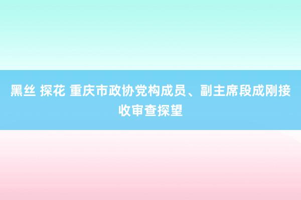 黑丝 探花 重庆市政协党构成员、副主席段成刚接收审查探望