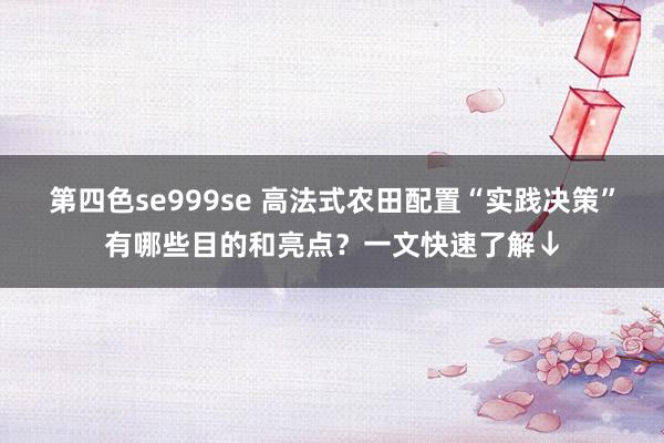 第四色se999se 高法式农田配置“实践决策”有哪些目的和亮点？一文快速了解↓