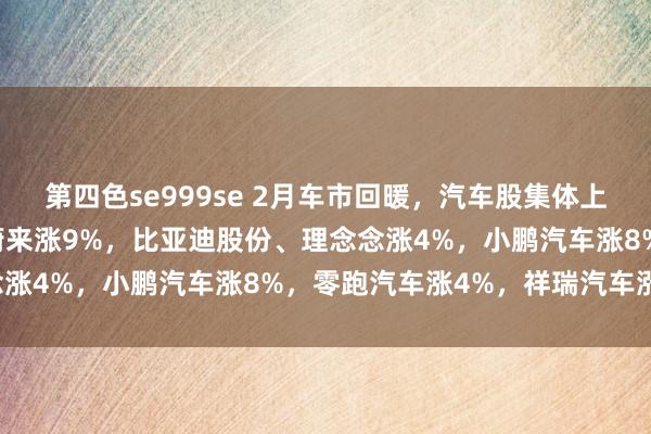 第四色se999se 2月车市回暖，汽车股集体上升，长城汽车涨12%，蔚来涨9%，比亚迪股份、理念念涨4%，小鹏汽车涨8%，零跑汽车涨4%，祥瑞汽车涨3%