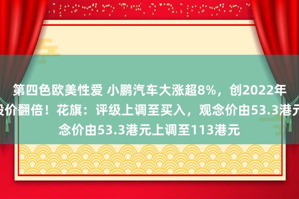第四色欧美性爱 小鹏汽车大涨超8%,创2022年7月来新高年内股价翻倍!花旗:评级上调至买入,观念价由53.3港元上调至113港元