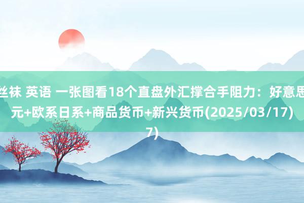 丝袜 英语 一张图看18个直盘外汇撑合手阻力：好意思元+欧系日系+商品货币+新兴货币(2025/03/17)