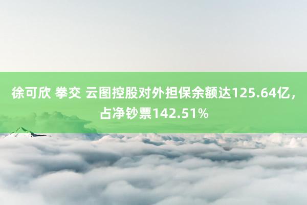 徐可欣 拳交 云图控股对外担保余额达125.64亿,占净钞票142.51%