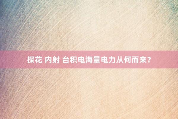 探花 内射 台积电海量电力从何而来?