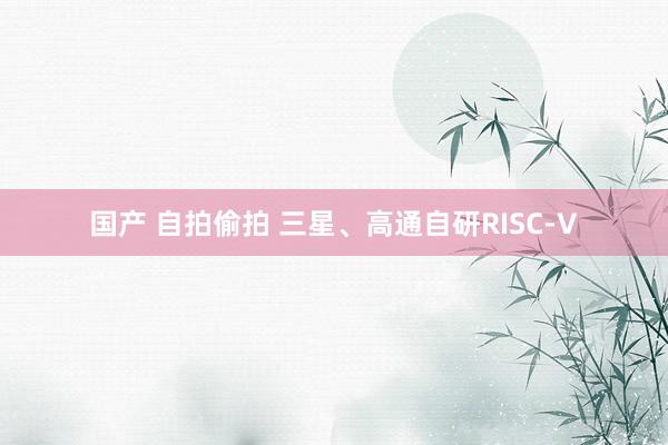 国产 自拍偷拍 三星、高通自研RISC-V