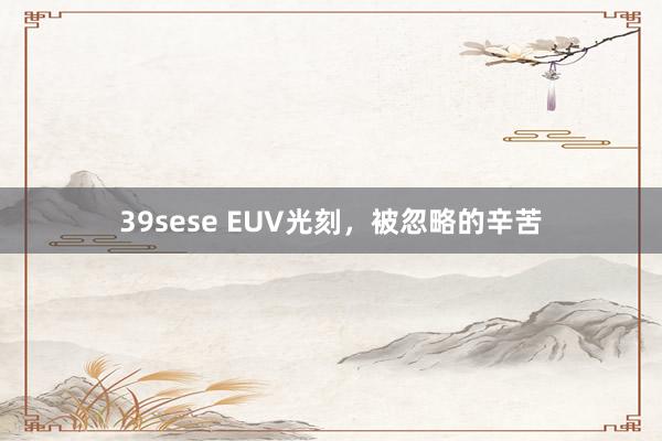39sese EUV光刻,被忽略的辛苦