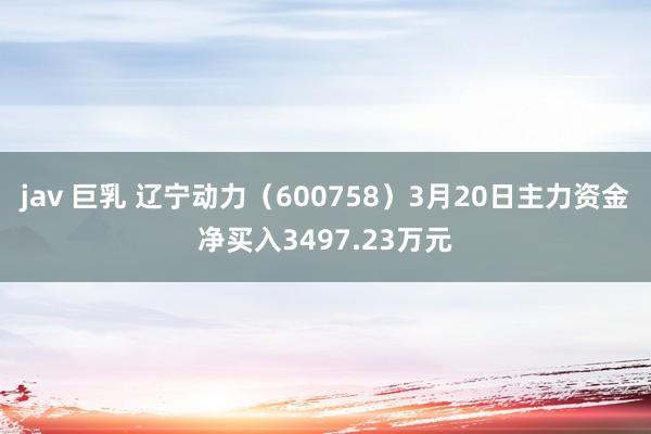jav 巨乳 辽宁动力(600758)3月20日主力资金净买入3497.23万元