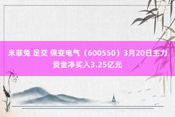 米菲兔 足交 保变电气(600550)3月20日主力资金净买入3.25亿元