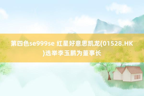 第四色se999se 红星好意思凯龙(01528.HK)选举李玉鹏为董事长