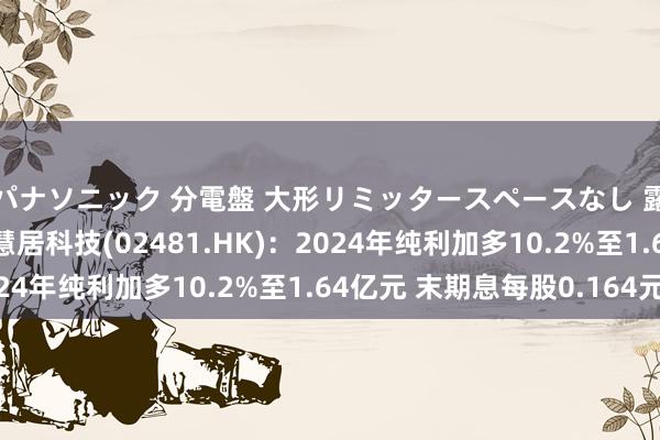 パナソニック 分電盤 大形リミッタースペースなし 露出・半埋込両用形 慧居科技(02481.HK):2024年纯利加多10.2%至1.64亿元 末期息每股0.164元