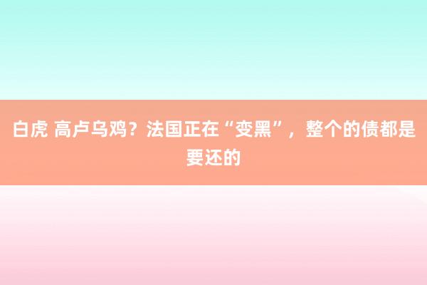 白虎 高卢乌鸡?法国正在“变黑”,整个的债都是要还的