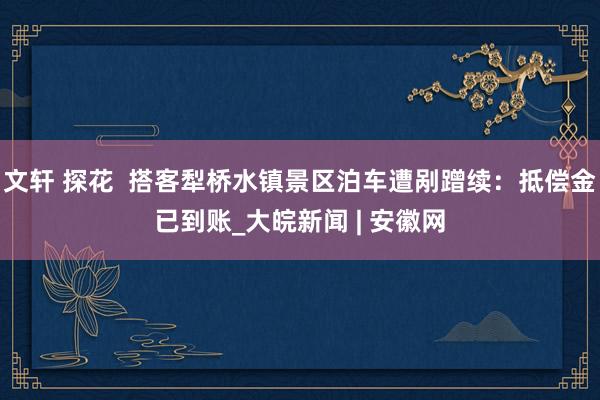 文轩 探花 搭客犁桥水镇景区泊车遭剐蹭续:抵偿金已到账_大皖新闻 | 安徽网